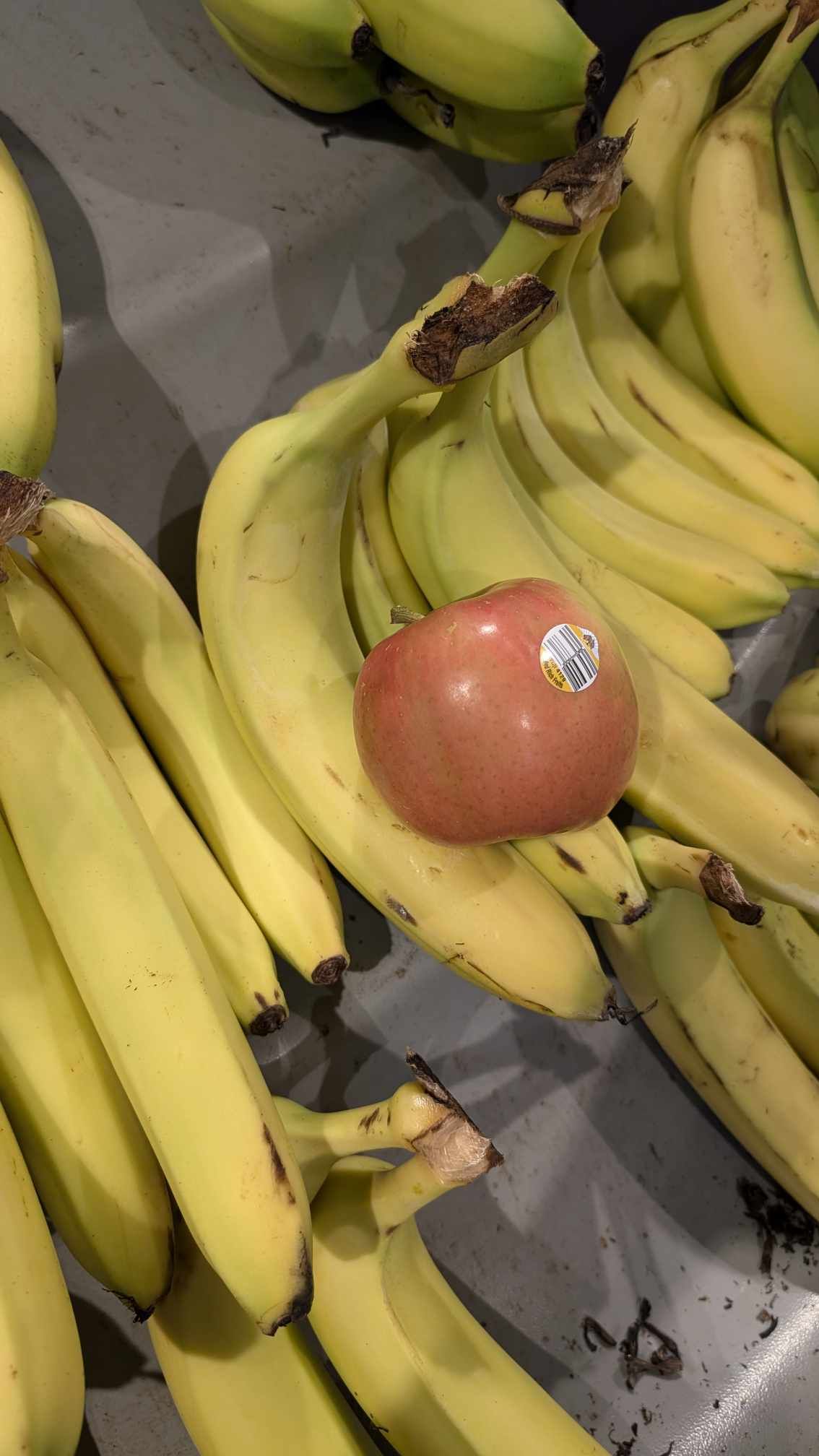 Image of a fuji apple
