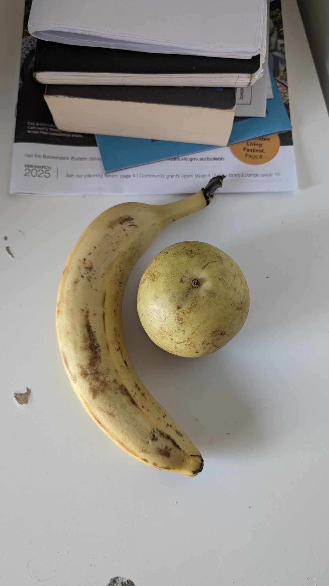 Image of a Nashi Pear